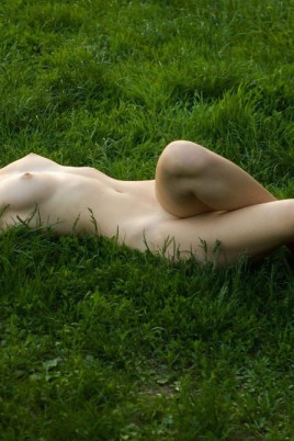 Женщина голая лежит на траве (66 фото)