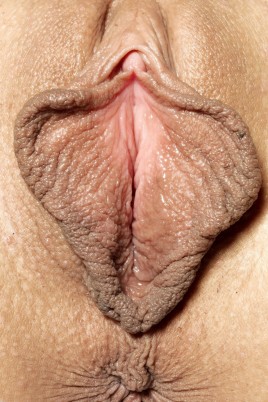 Красивая вагина с большими губами (53 фото)